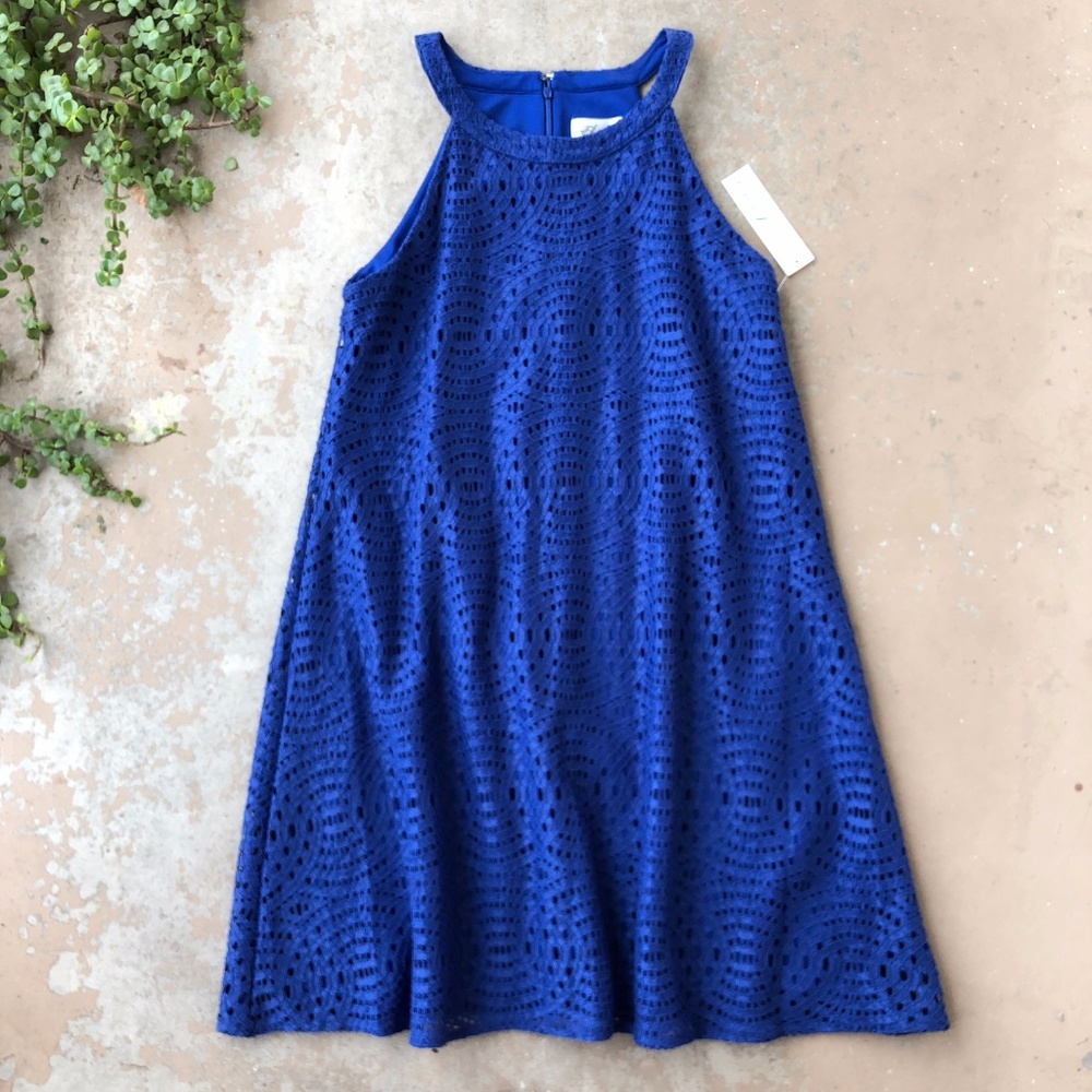 Eliza J Blue Lace Trapeze Swing Halter Dress